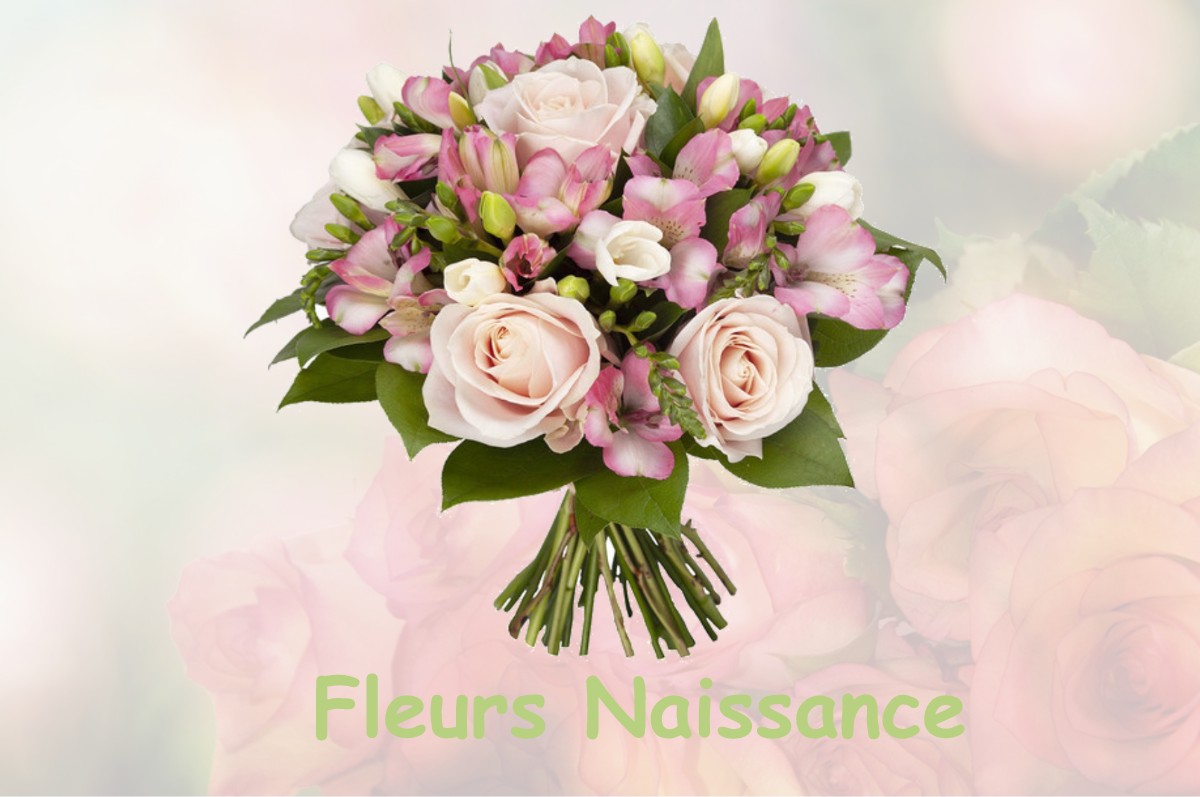 fleurs naissance SORCY-SAINT-MARTIN